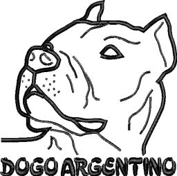 Dogo Argentino